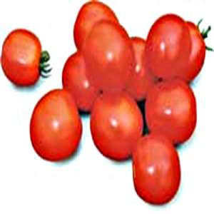 Солероссо F1 - томат детерминантный, 25 000 семян драже, Nunhems (Нунемс) Голландия фото, цена